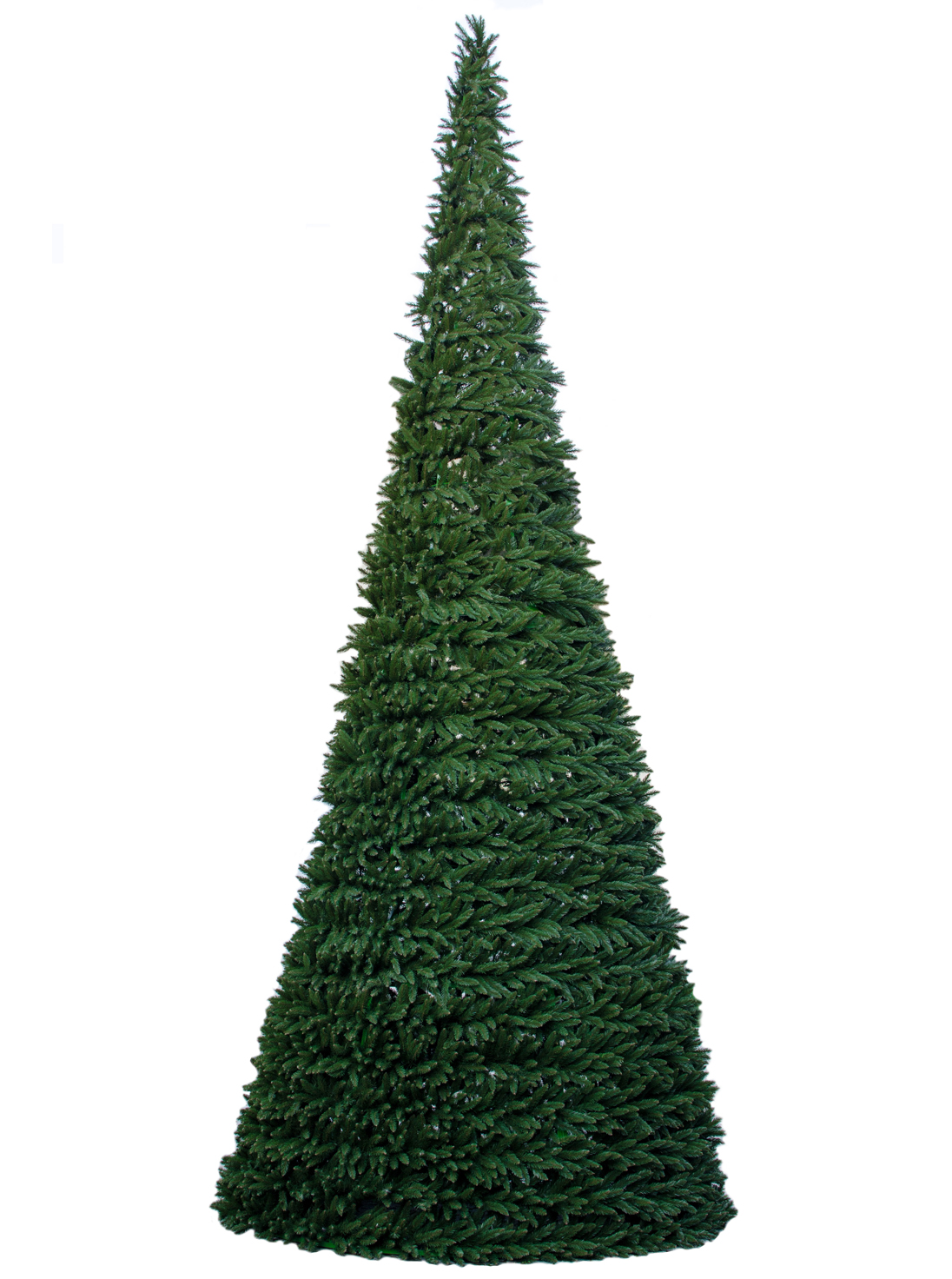 Choinka Gigant 6m