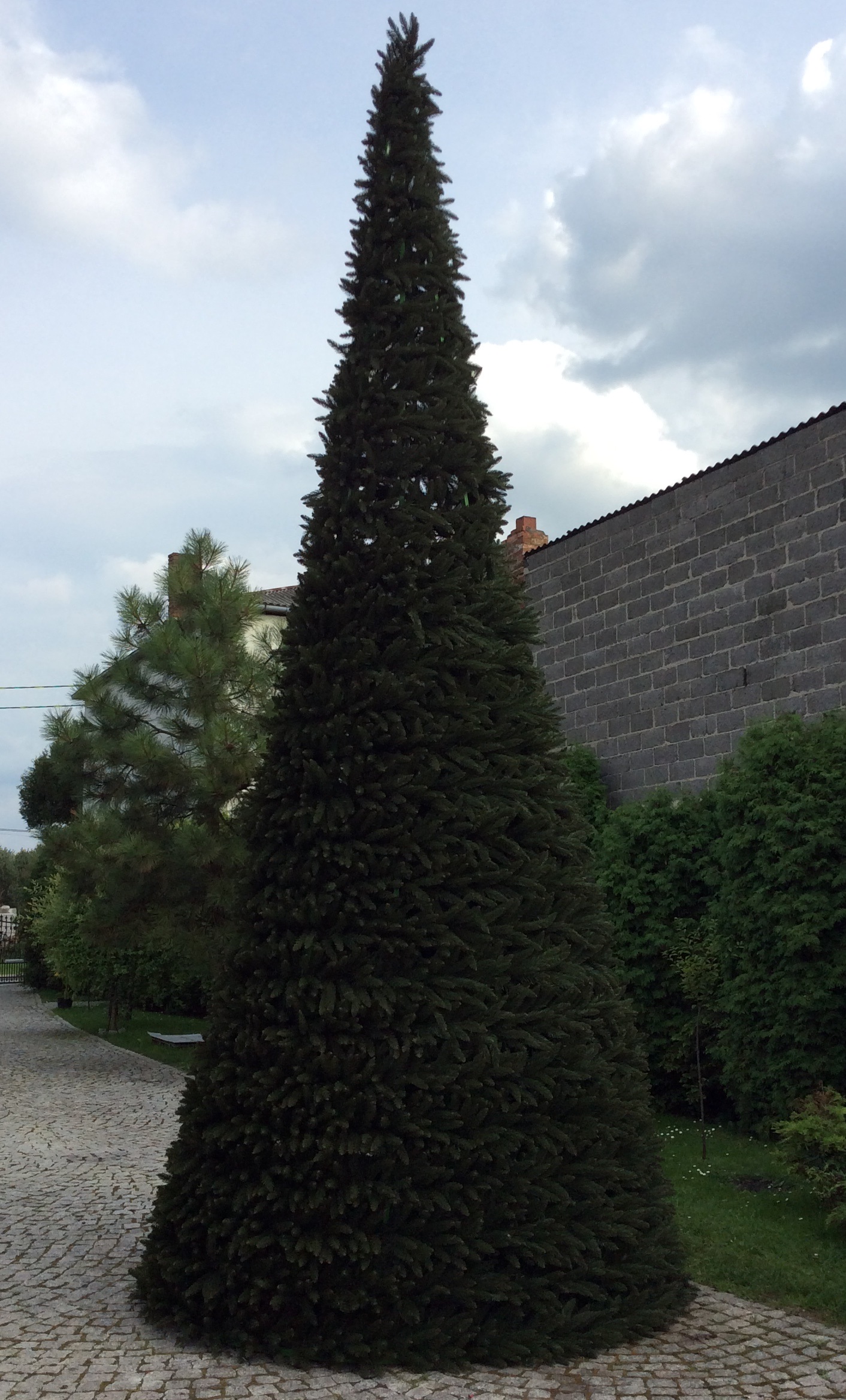 Zdjęcie 2