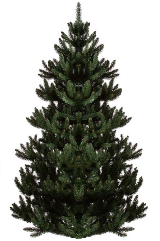 Świerk Naturelli 2,20m