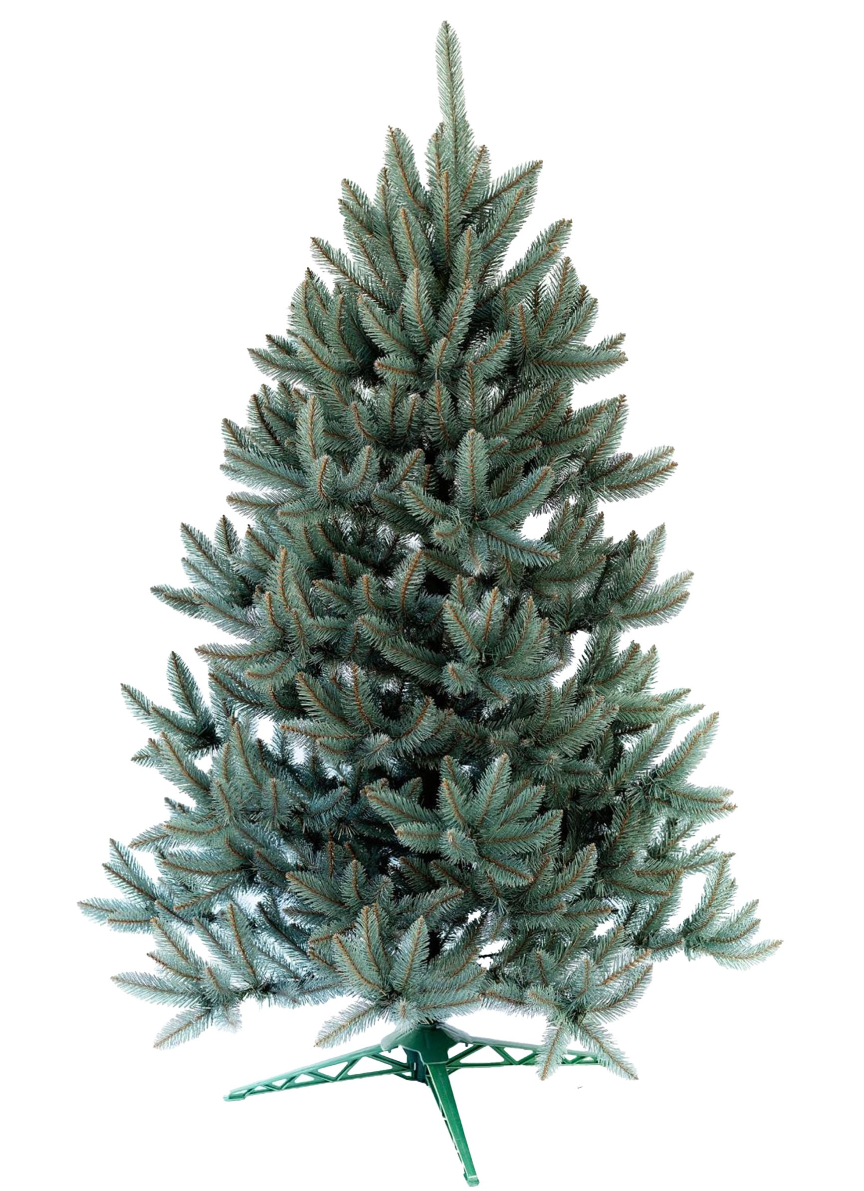 Choinka Świerk Srebrny 250cm
