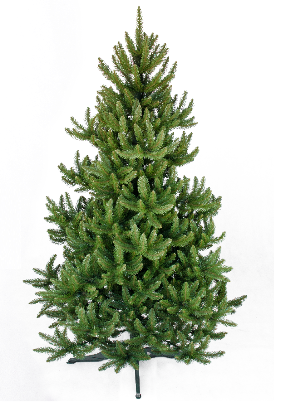 Choinka Świerk Dziki 300cm
