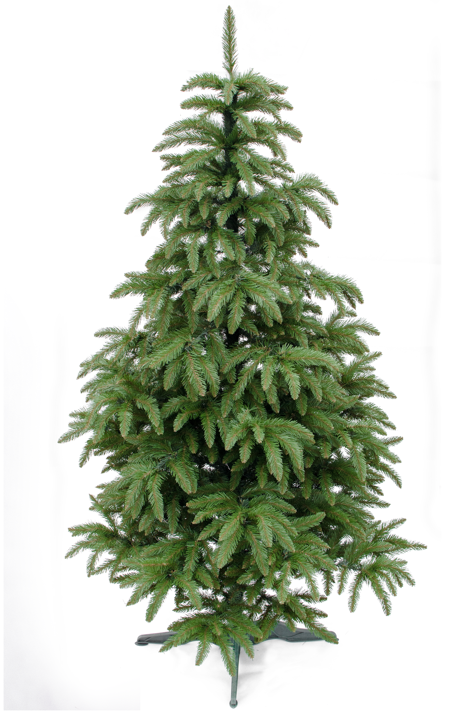Choinka Świerk Góralski 350cm